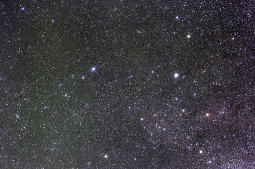 Cepheus Wide