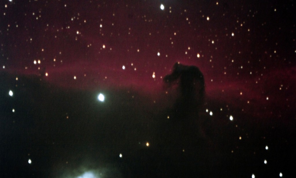 Horsehead